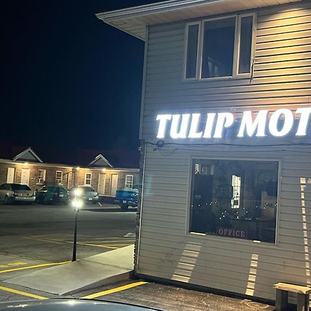 Tulip Motel Woodstock Exterior photo