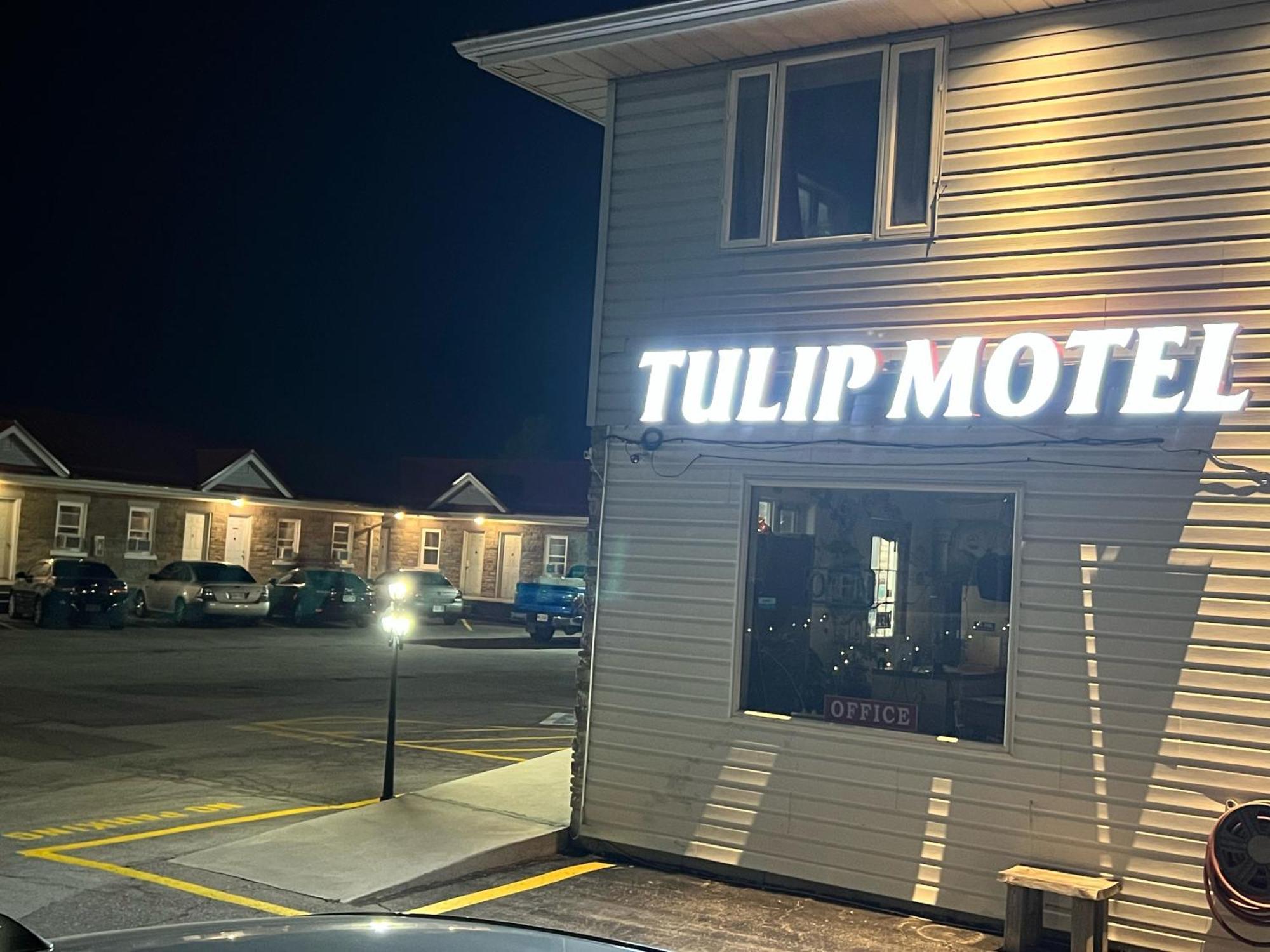 Tulip Motel Woodstock Exterior photo