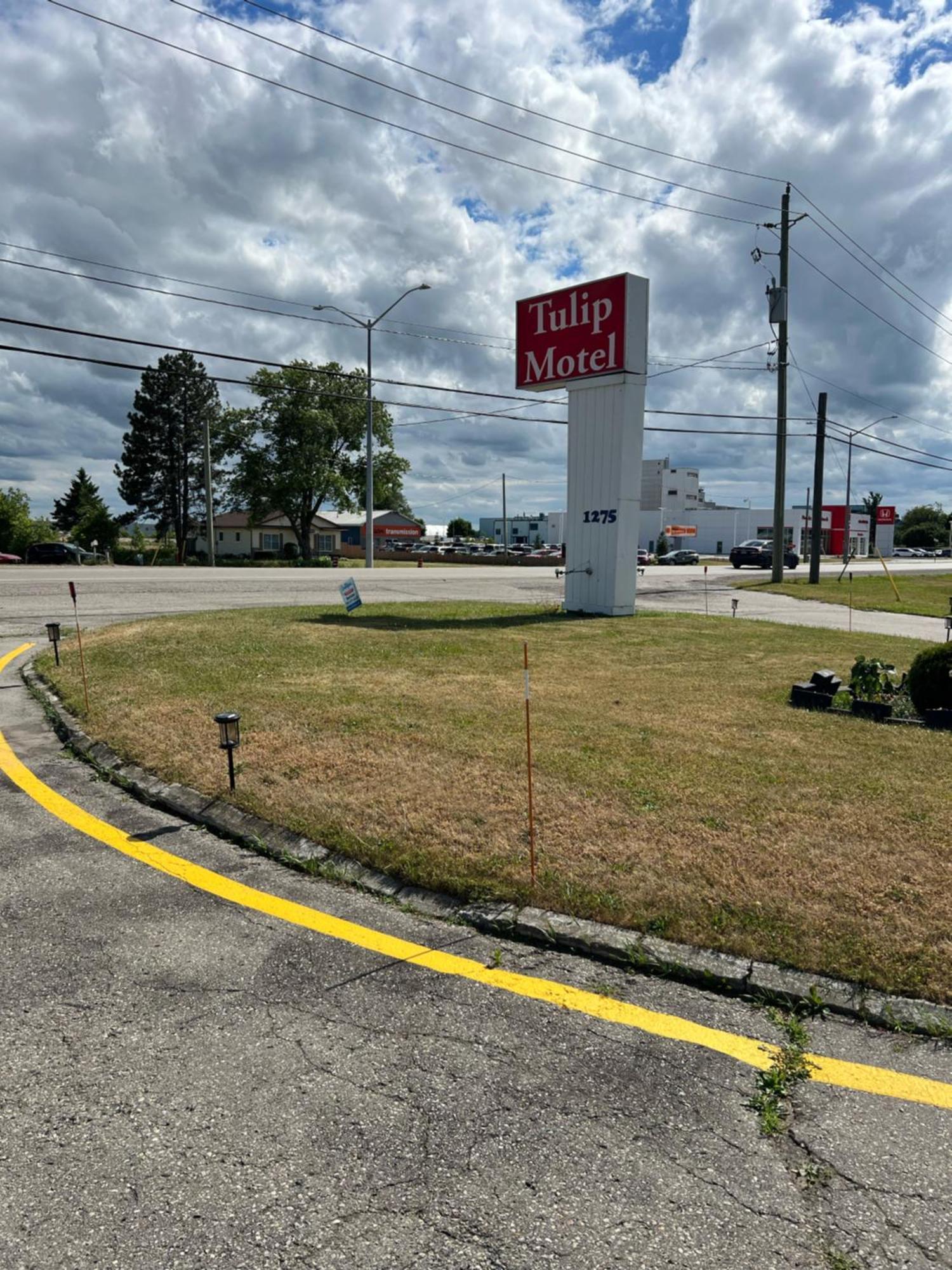 Tulip Motel Woodstock Exterior photo